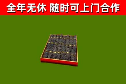 石首回收海参